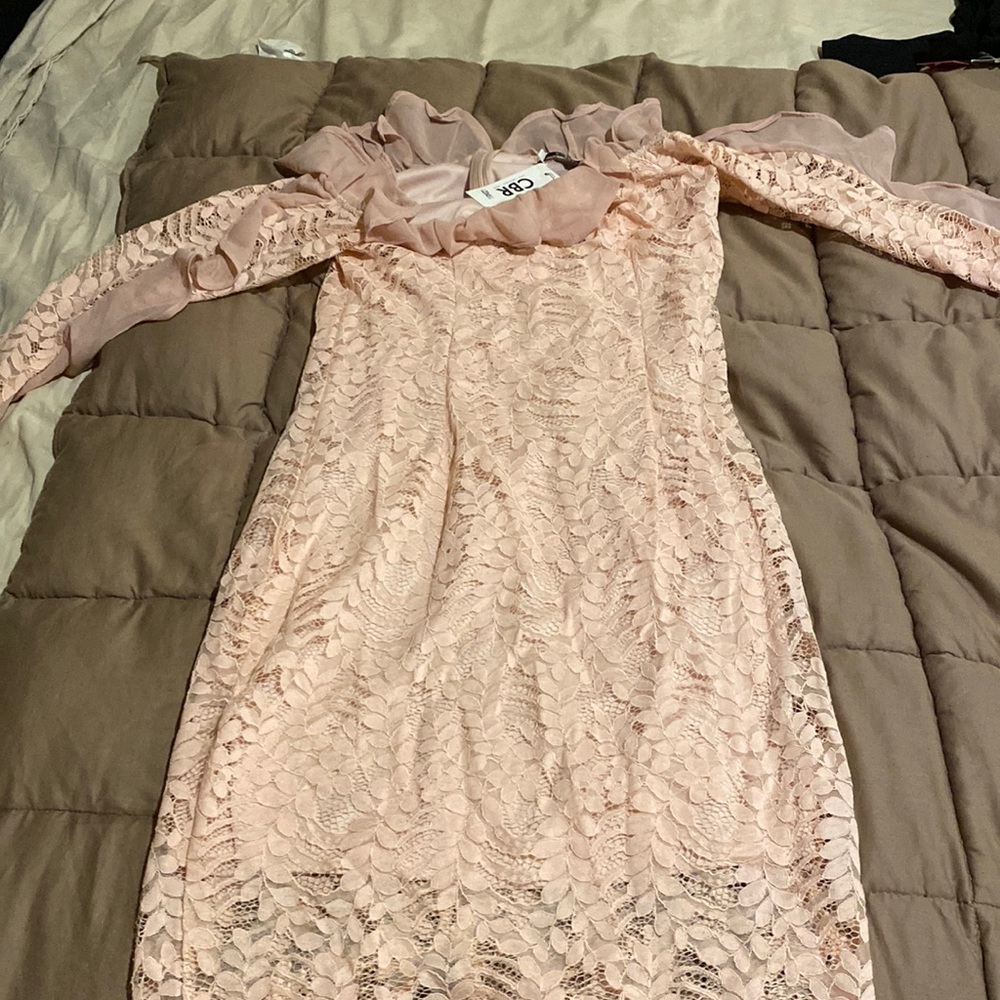 Light pink long sleeve lace dress NWT